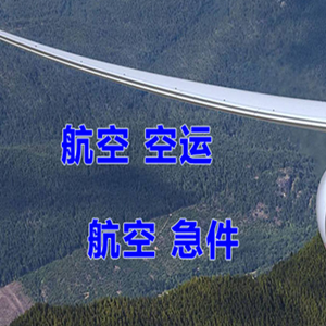 额济纳旗桃来航空托运快递-选东方航空和上海航空